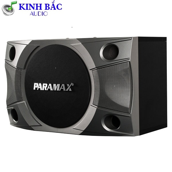 Loa karaoke Paramax P800